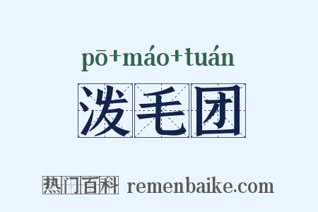 泼毛团是什么意思的图片